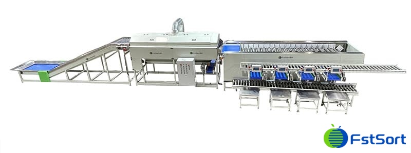 potato-processing-sorting-machine